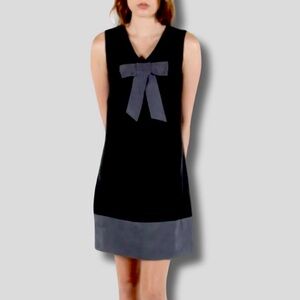 Birds of North America Mini Dress